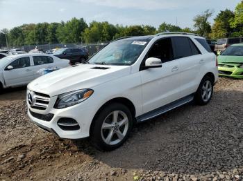  Salvage Mercedes-Benz GLE