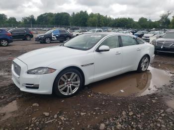  Salvage Jaguar XJ