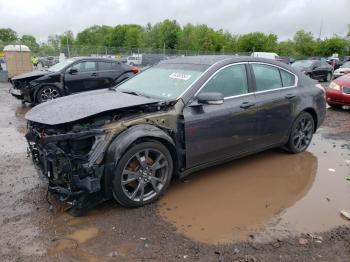  Salvage Acura TL