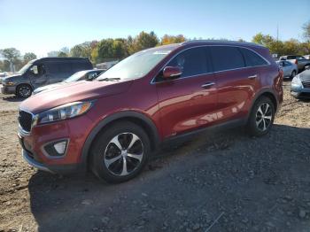  Salvage Kia Sorento