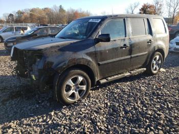  Salvage Honda Pilot