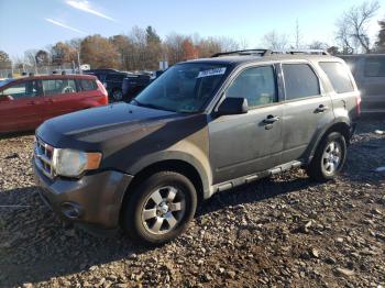  Salvage Ford Escape