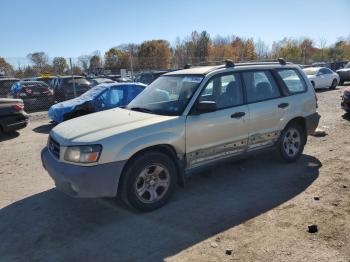  Salvage Subaru Forester