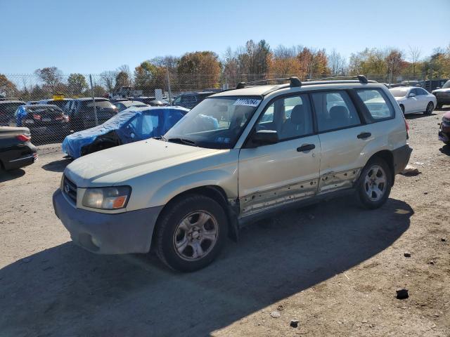  Salvage Subaru Forester