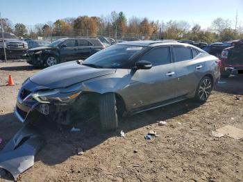  Salvage Nissan Maxima