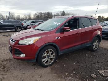  Salvage Ford Escape