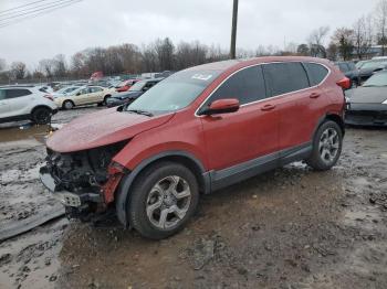  Salvage Honda Crv