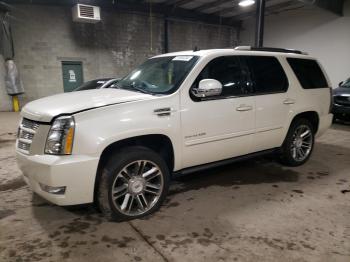  Salvage Cadillac Escalade