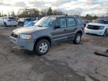  Salvage Ford Escape