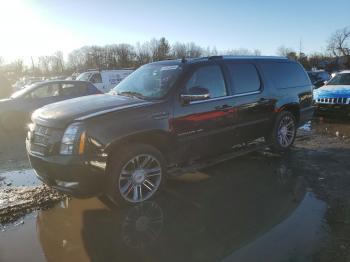  Salvage Cadillac Escalade