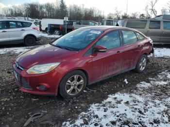  Salvage Ford Focus