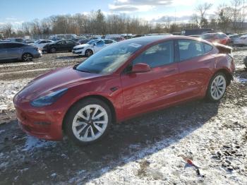  Salvage Tesla Model 3