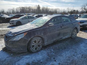  Salvage Hyundai SONATA