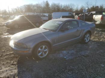  Salvage Ford Mustang