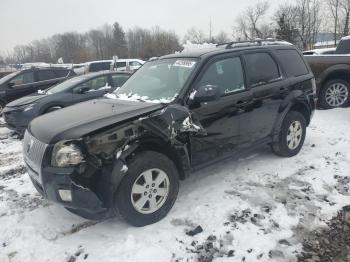  Salvage Mercury Mariner