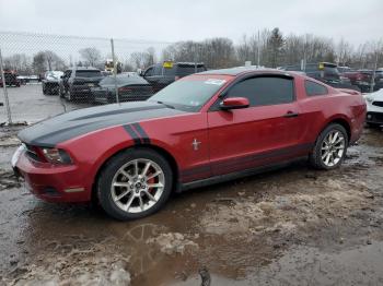  Salvage Ford Mustang