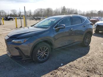  Salvage Lexus NX