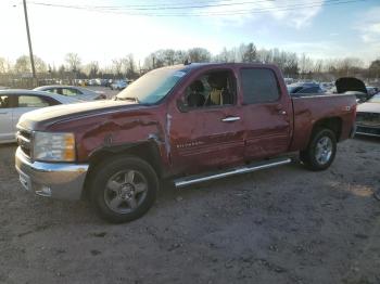  Salvage Chevrolet Silverado