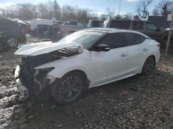  Salvage Nissan Maxima