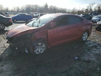  Salvage Hyundai ELANTRA