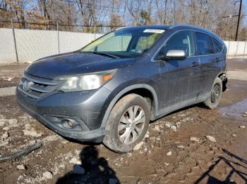  Salvage Honda Crv