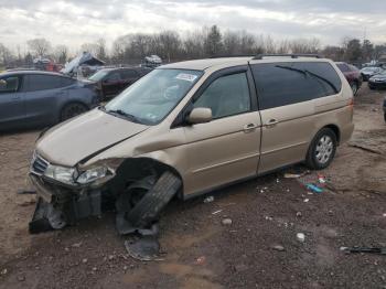  Salvage Honda Odyssey