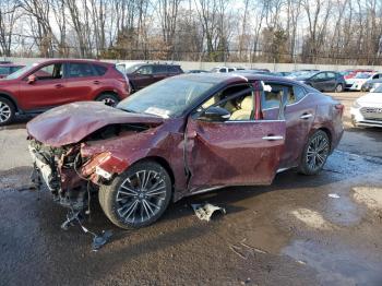  Salvage Nissan Maxima