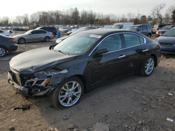  Salvage Nissan Maxima