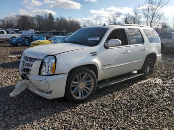  Salvage Cadillac Escalade