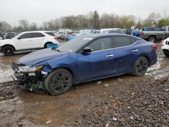  Salvage Nissan Maxima