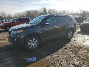  Salvage Kia Sorento