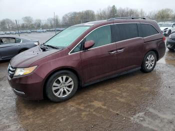  Salvage Honda Odyssey