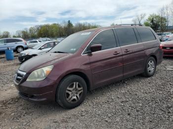  Salvage Honda Odyssey
