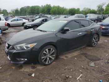  Salvage Nissan Maxima