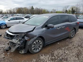  Salvage Honda Odyssey