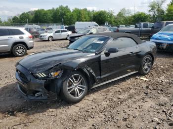  Salvage Ford Mustang