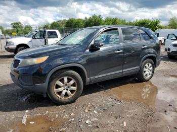  Salvage Kia Sorento