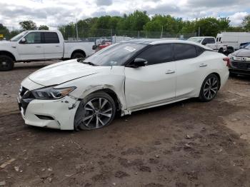  Salvage Nissan Maxima