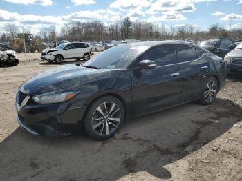  Salvage Nissan Maxima
