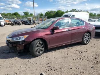  Salvage Honda Accord