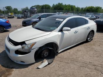 Salvage Nissan Maxima
