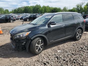  Salvage Kia Sorento
