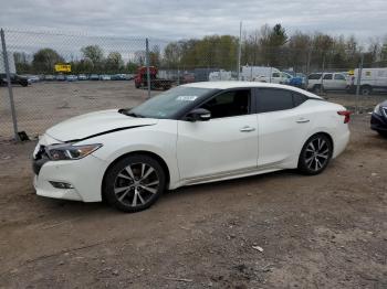 Salvage Nissan Maxima