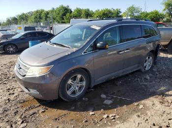  Salvage Honda Odyssey