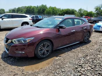  Salvage Nissan Maxima