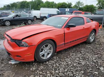  Salvage Ford Mustang