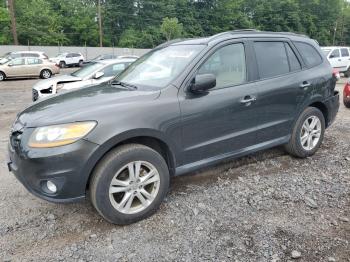  Salvage Hyundai SANTA FE