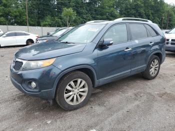  Salvage Kia Sorento