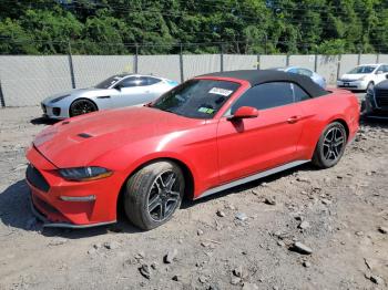  Salvage Ford Mustang