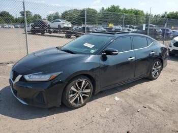  Salvage Nissan Maxima